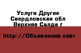 Услуги Другие. Свердловская обл.,Верхняя Салда г.